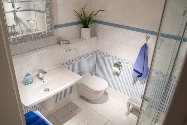 Haubarg Tetenshof Whg. 3 Jägerglück - Welt Eiderstedt Umland - Badezimmer