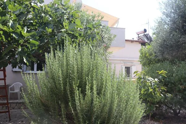 Garden  Meraki
