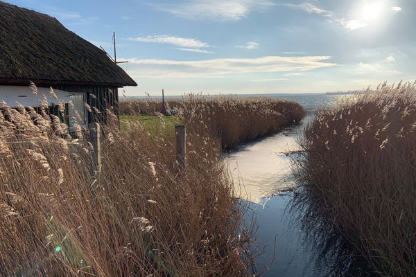  Am Haferland "Darß-Traum" Wieck - Landschaft