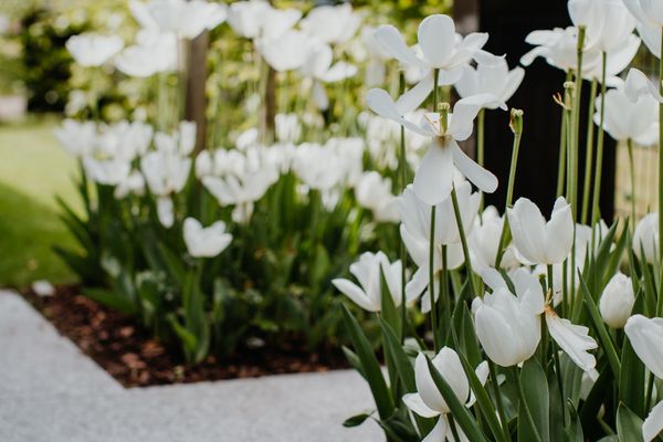 PUR Ostsee Prerow - Garten