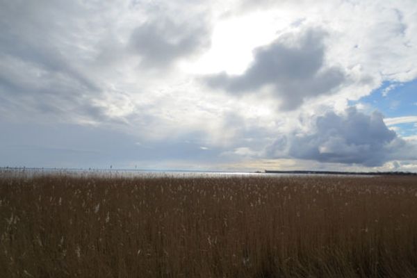 RESIDENZ AM HAFEN Haus Kranich, App. 09 "Suite Boddenkieker" Ostseebad Ahrenshoop - 