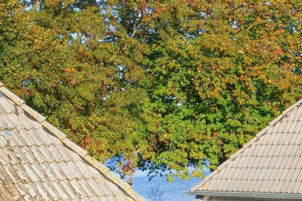 Meerblick Ferienappartements Am Neuensiener See Ferienwohnung 23