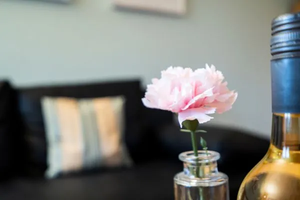 Dekoratives Detail Wohnpark am Mühlenteich Ferienwohnung Nr. 30