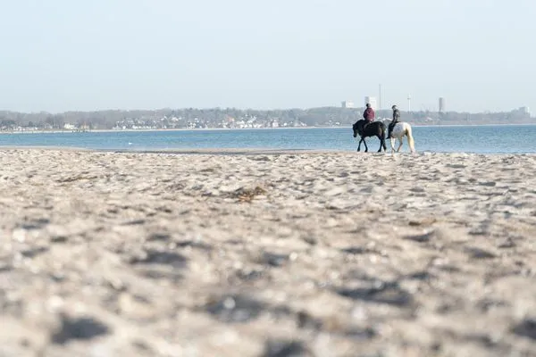  Wohnpark am Mühlenteich Ferienwohnung Nr. 38
