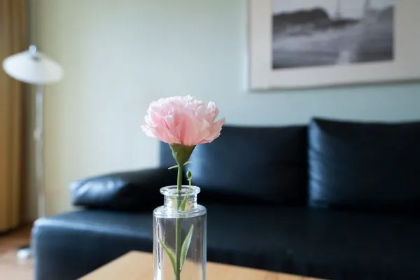 Dekoratives Detail Wohnpark am Mühlenteich Ferienwohnung Nr. 32