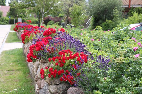 OEWERN DIEK Haus Waderkierl, App. 25 Ostseebad Wustrow - 