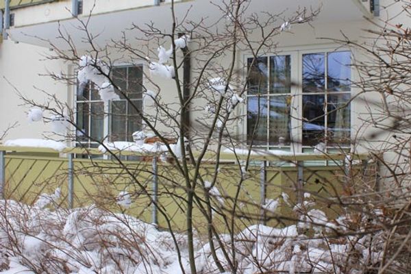 BIRKENHOF Haus 02, App. 68 Ostseebad Wustrow - 