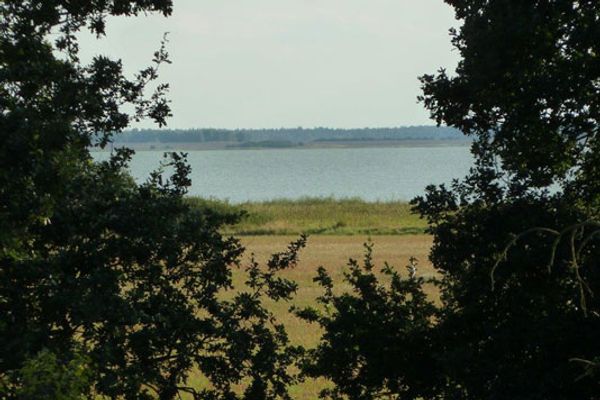AM LÜTTEN BAGEN Darßer Pianohaus Erholungsort Born - 