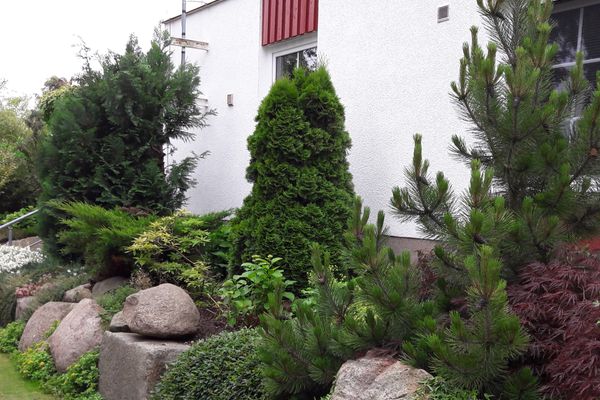 ZWISCHEN BODDEN UND MEER App. 06 Ostseebad Ahrenshoop - 