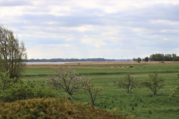 FERIENHÄUSER Strandhaus Leo Ostseebad Dierhagen - 