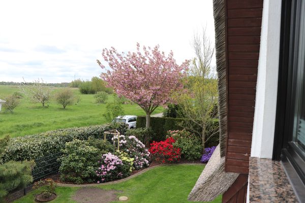 FERIENHÄUSER Strandhaus Leo Ostseebad Dierhagen - 