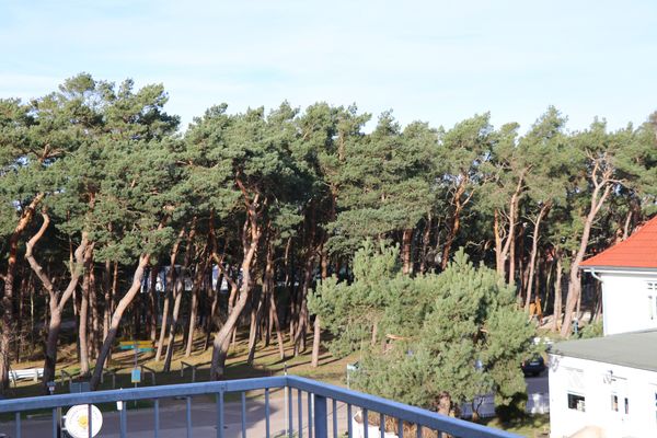 APPARTEMENTHAUS MEERQUARTIER App. 08 Ostseebad Dierhagen - 