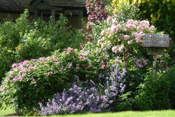 ALTER KRUG App. 16 Erholungsort Wieck - 