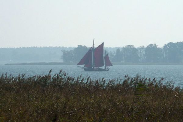 ALTER KRUG App. 16 Erholungsort Wieck - 