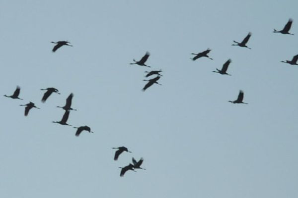 ALTER KRUG App. 16 Erholungsort Wieck - 