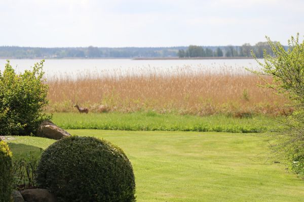 ALTER KRUG App. 06 Erholungsort Wieck - 