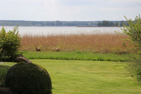 ALTER KRUG App. 06 Erholungsort Wieck - 