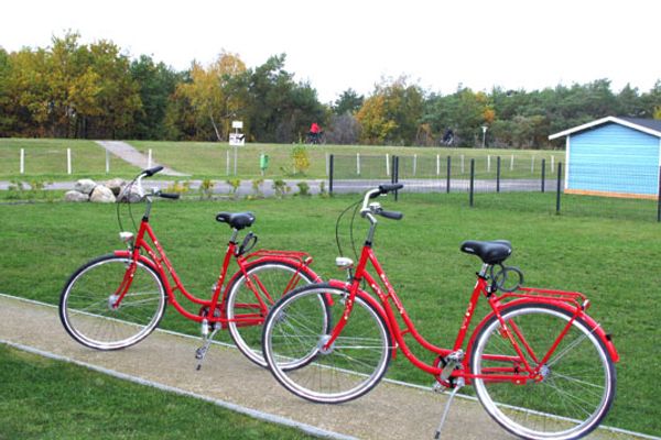 KÄPT´N BRASS Appartement 15 Deichblick Ostseebad Dierhagen - 