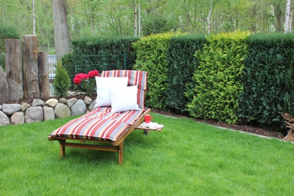 STRANDVILLA BIRKENALLEE Haus Sommerlicht Ostseebad Dierhagen - 