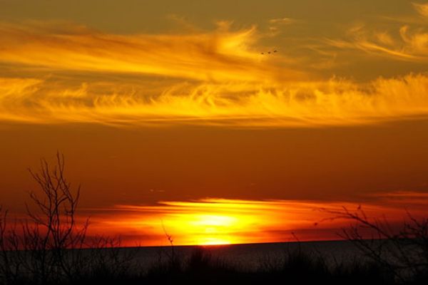 FERIENHÄUSER Reethaus am Deich Ostseebad Dierhagen - 