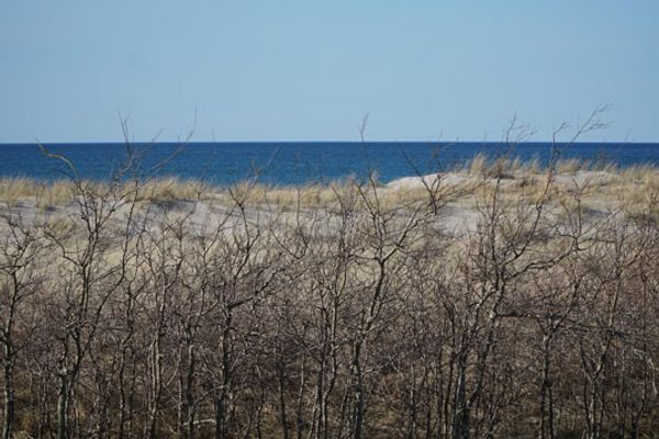 FERIENHÄUSER Reethaus am Deich Ostseebad Dierhagen - 