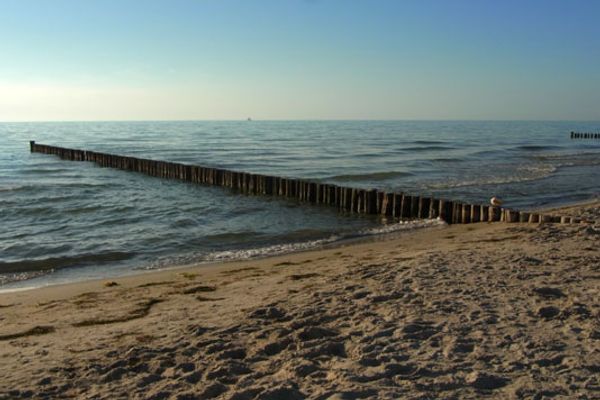 KÄPT´N BRASS Villa 2 App 6 Sünnsiet Ostseebad Dierhagen - 