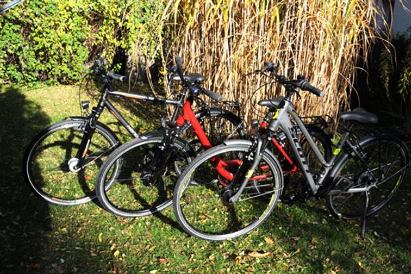 KÄPT´N BRASS Villa 4 App 6 Sonnenfänger Ostseebad Dierhagen - 