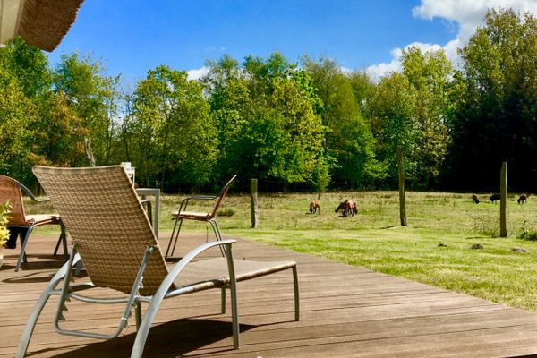  Straminke 4b Wohnung Strandläufer Zingst - Terrasse
