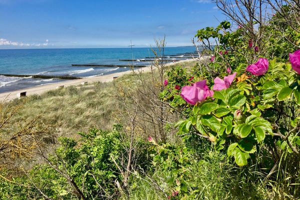  Straminke 4b Wohnung Dünentraum Zingst - Strand