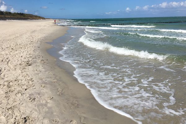  Straminke 4b Wohnung Dünentraum Zingst - Strand