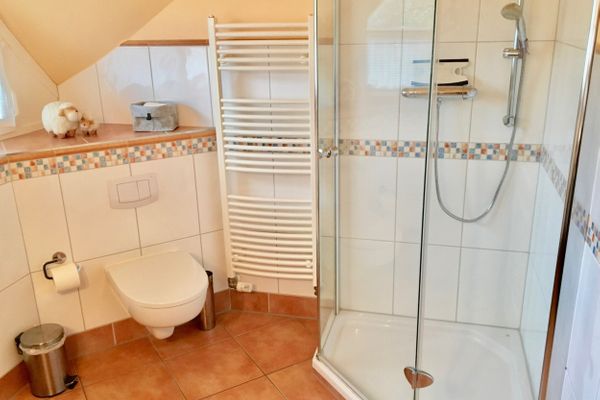  Straminke 4b Wohnung Dünentraum Zingst - Badezimmer