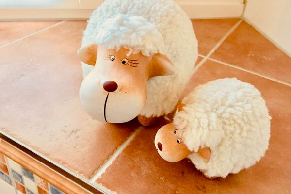  Straminke 4b Wohnung Dünentraum Zingst - Badezimmer