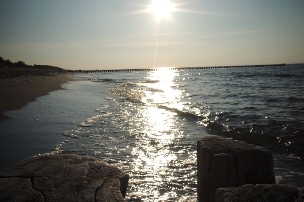 Achtern Diek Haus 6 Wohnung 1 Zingst - Strand