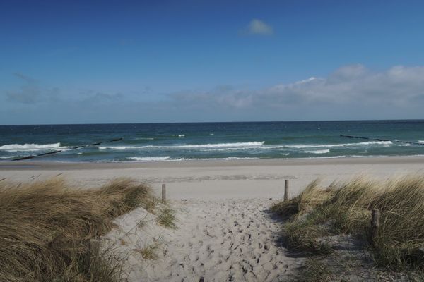 Achtern Diek Haus 6 Wohnung 1 Zingst - Strand