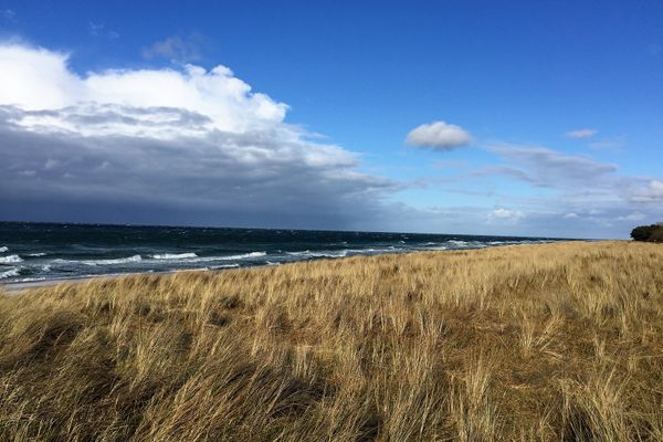 Achtern Diek Haus 6 Wohnung 2 Zingst - Strand
