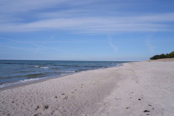 Achtern Diek Haus 8 Wohnung 4 Zingst - Strand