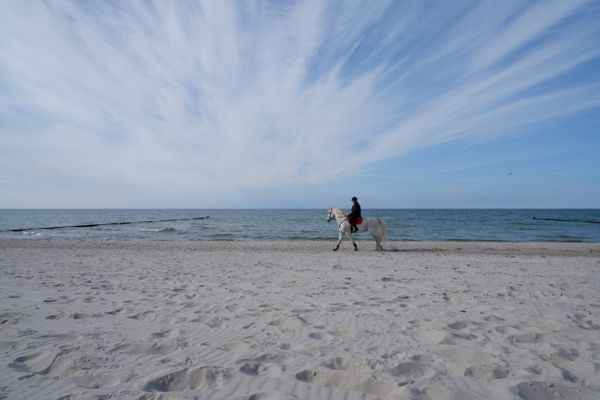 Achtern Diek Haus 8 Wohnung 4 Zingst - Strand
