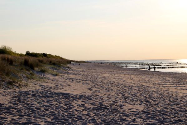 Achtern Diek Haus 12a Wohnung 3 Zingst - Strand