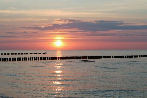 Achtern Diek Haus 12a Wohnung 4 Zingst - Strand