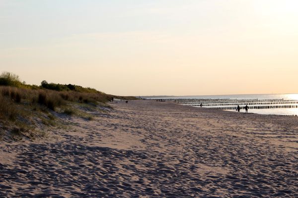 Achtern Diek Haus 12a Wohnung 4 Zingst - Strand