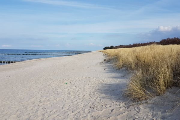 Achtern Diek Haus 12a Wohnung 4 Zingst - Strand