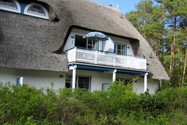 Achtern Diek Haus 12d Wohnung 6 Zingst - Terrasse