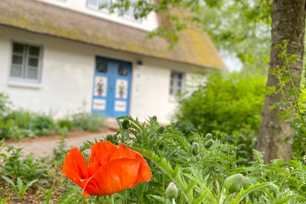 Achtern Diek Haus 13b Wohnung 3 Zingst - Fassade / Eingang
