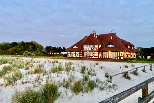 Achtern Diek Haus 13b Wohnung 3 Zingst - Landschaft