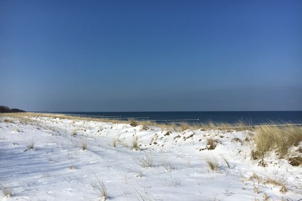 Achtern Diek Haus 13b Wohnung 3 Zingst - Strand