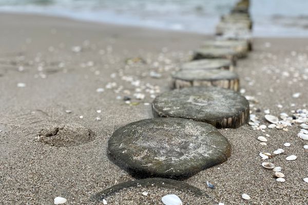 Achtern Diek Haus 13b Wohnung 3 Zingst - Strand