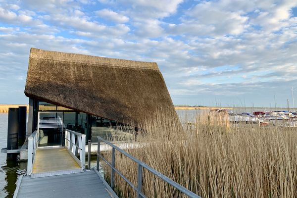 Achtern Diek Haus 13b Wohnung 3 Zingst - Landschaft