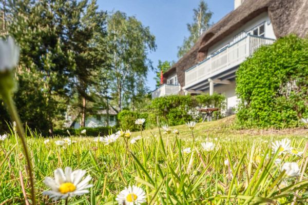 Achtern Diek Haus 13b Wohnung 6  - Nachbarschaft