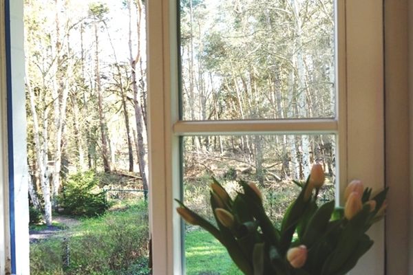 Achtern Diek Haus 15a Wohnung 4 Zingst - Küche / Küchenzeile