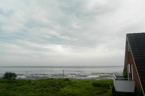 Ausblick auf das Wattenmeer von der Ferienwohnung Jessen´s Wattblick in Wittdün auf Amrum  Ferienwohnung *Jessen´s Wattblick*
